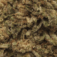 Moon Drops thumbnail 2