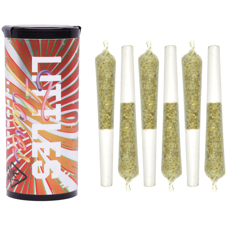 Gingerbread Shatter Infused 6pk