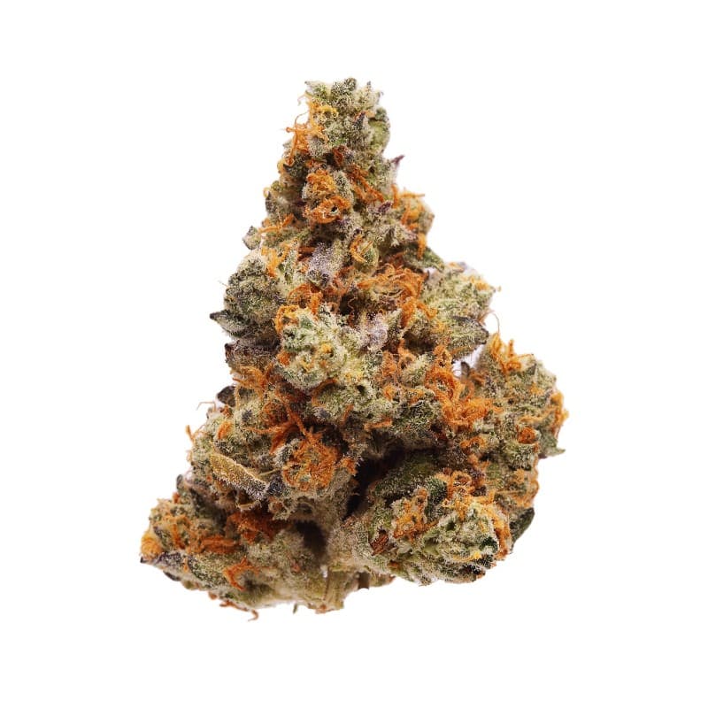 Grease Monkey