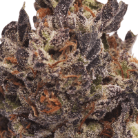 Apple Sherbet Ounce thumbnail 2