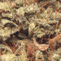 Gelonade thumbnail 2