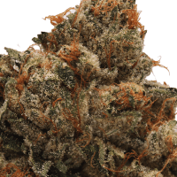 Kremlin Kush 2 Gram Slam thumbnail 2