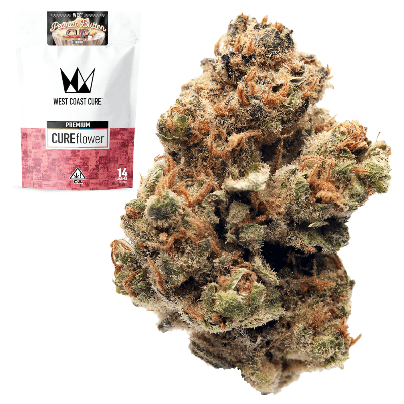 Peanut Butter Cup Half Ounce