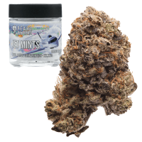 Jet Mints thumbnail 1