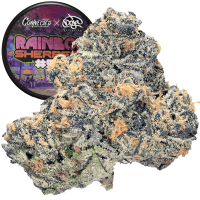 Rainbow Sherbert #11 thumbnail 1