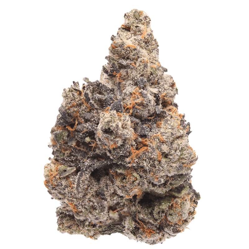 Guava Gelato