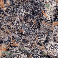 Baby Joker thumbnail 2