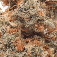 Guava Gas thumbnail 2