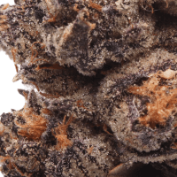 Candy Apple Smalls thumbnail 2