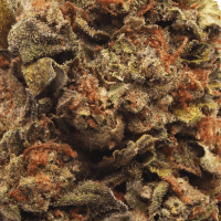 Black Cherry Gelato Half Ounce thumbnail 2