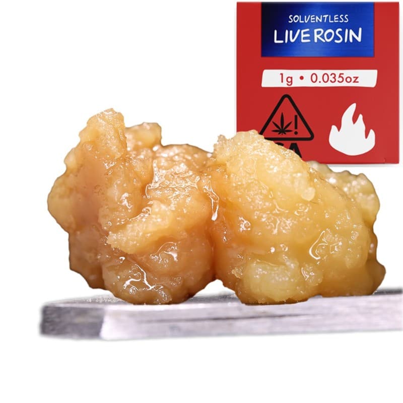 Banana Punch x Orange Tree Rosin