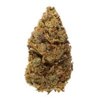 Dev Edible hybrid thumbnail 2
