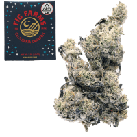 Holy Moly! thumbnail 1