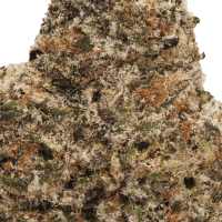 Fuel Dog thumbnail 2