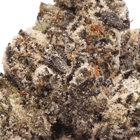 Cold Snap 2 Gram Slam thumbnail 2