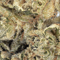 Slurty thumbnail 2