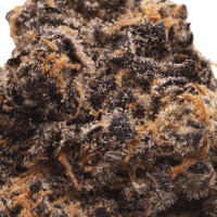 Boba Minis thumbnail 2