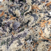 Glitter Bomb thumbnail 2