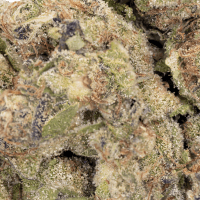 Gush Mintz Half Ounce thumbnail 2