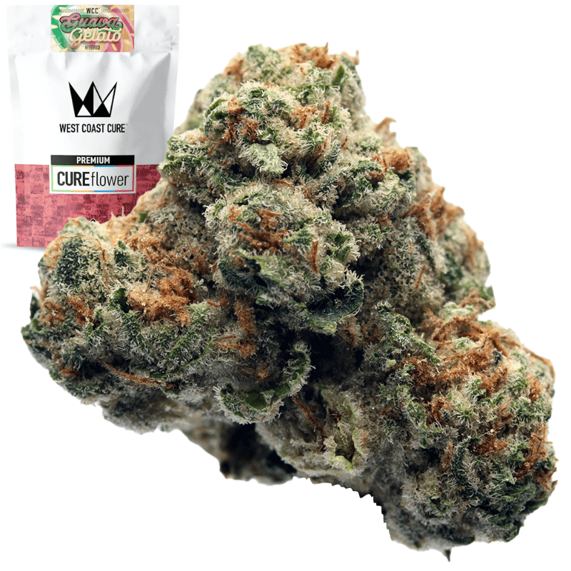 Guava Gelato Half Ounce