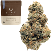 Rainbow Rozay thumbnail 1