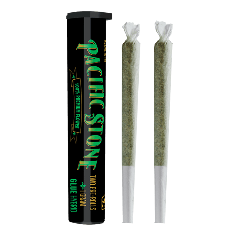 805 Glue 0.5g 2-Pack