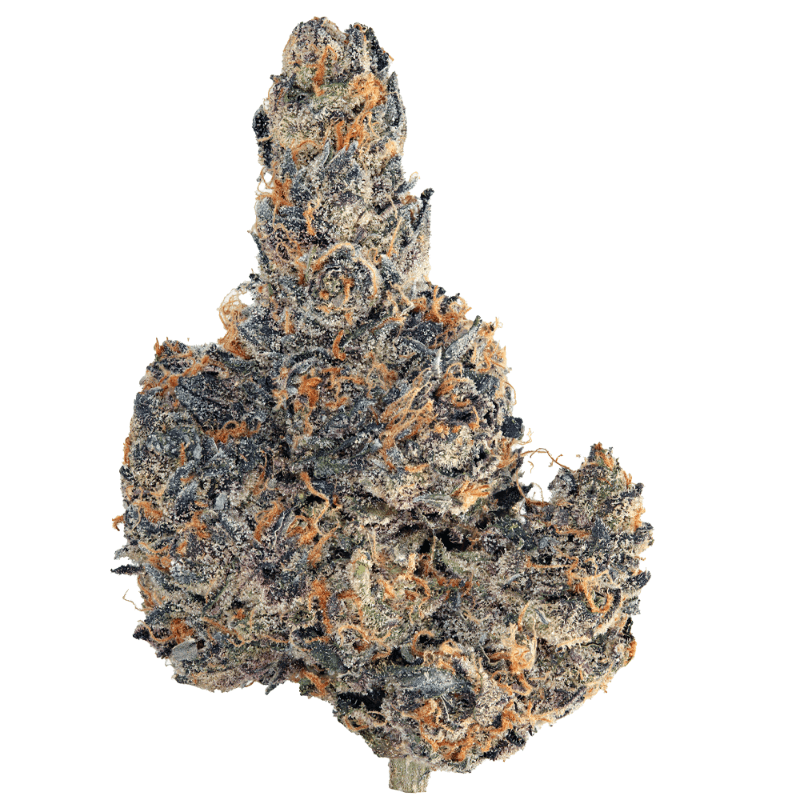 Poison Gushers (Living Soil)