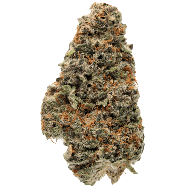 Orange Creamsicle
