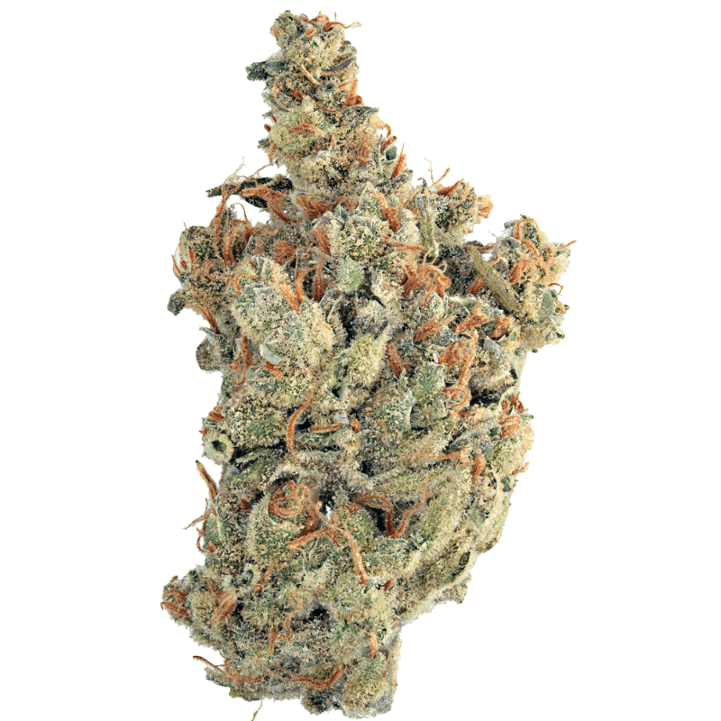 Super Silver Haze (Living Soil)