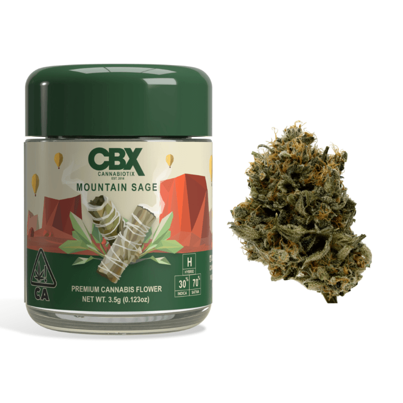 Mountain Sage
