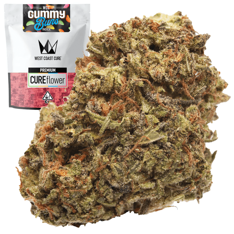 Gummy Buns