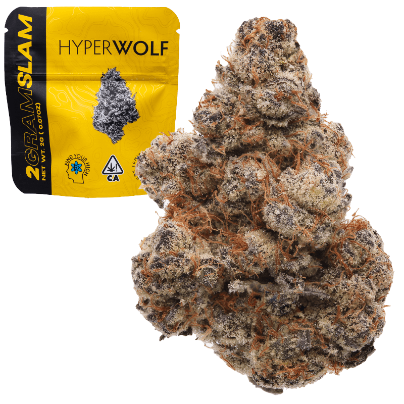 PleaZure 2 Gram Slam