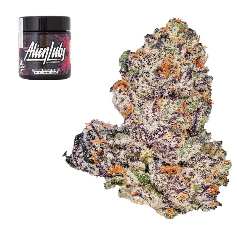 Krypto Chronic