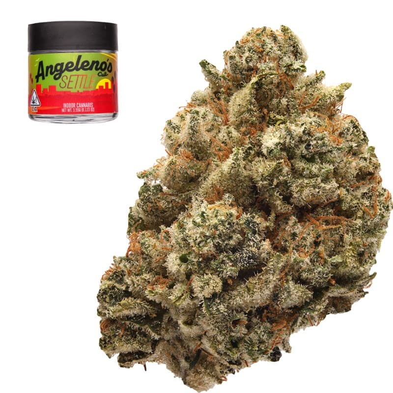 Gorilla Glue #4