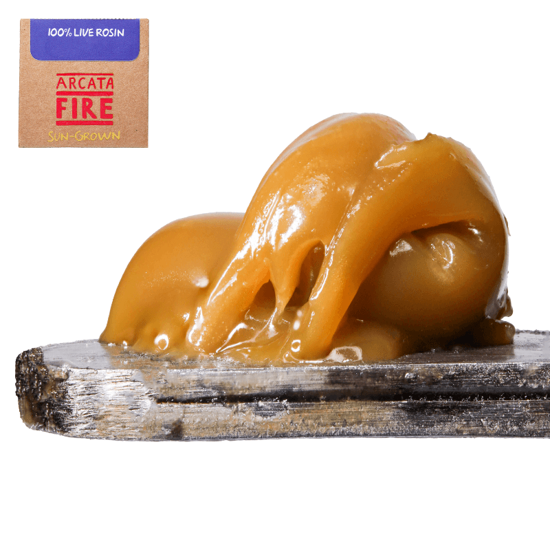 Holy Limez Live Rosin