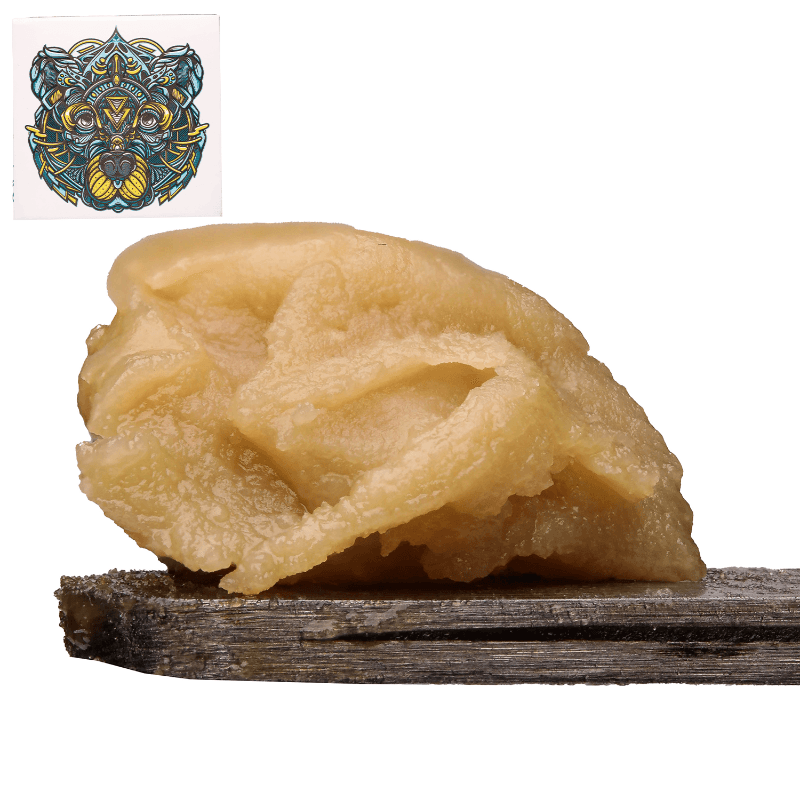 Egyptian Gold Live Rosin (Tier 3)
