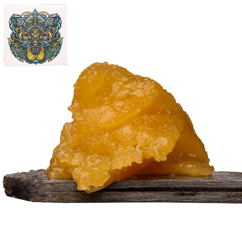 Romulan Budder