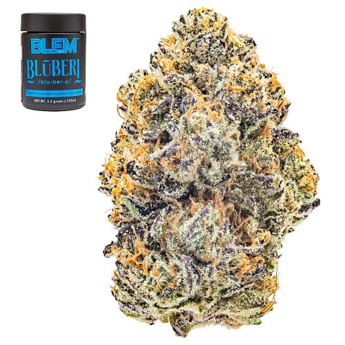 Blueberi