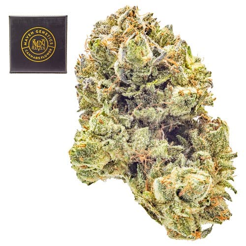 Blueberry ZKZ