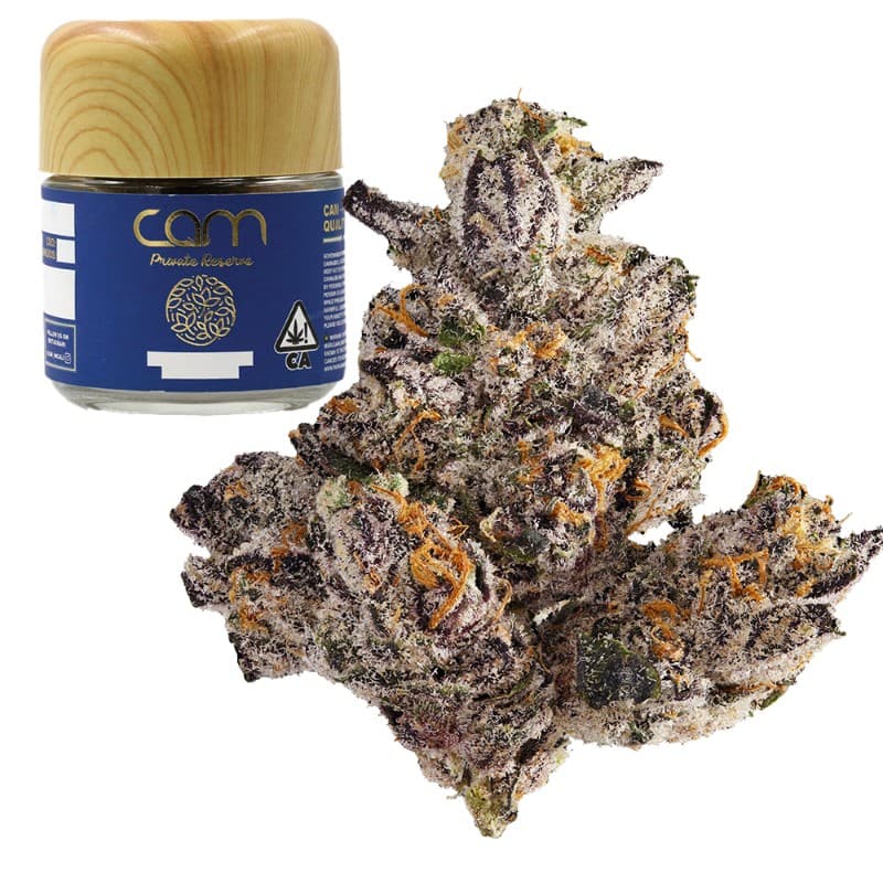 Biscotti Bx1
