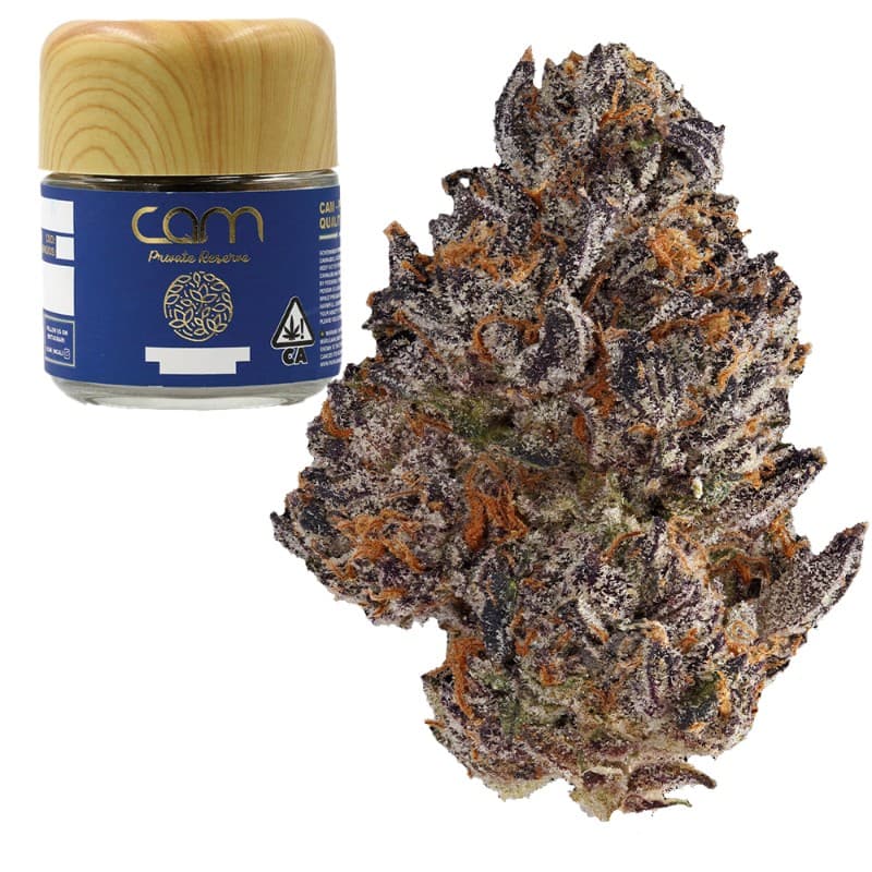 Dosi Kush