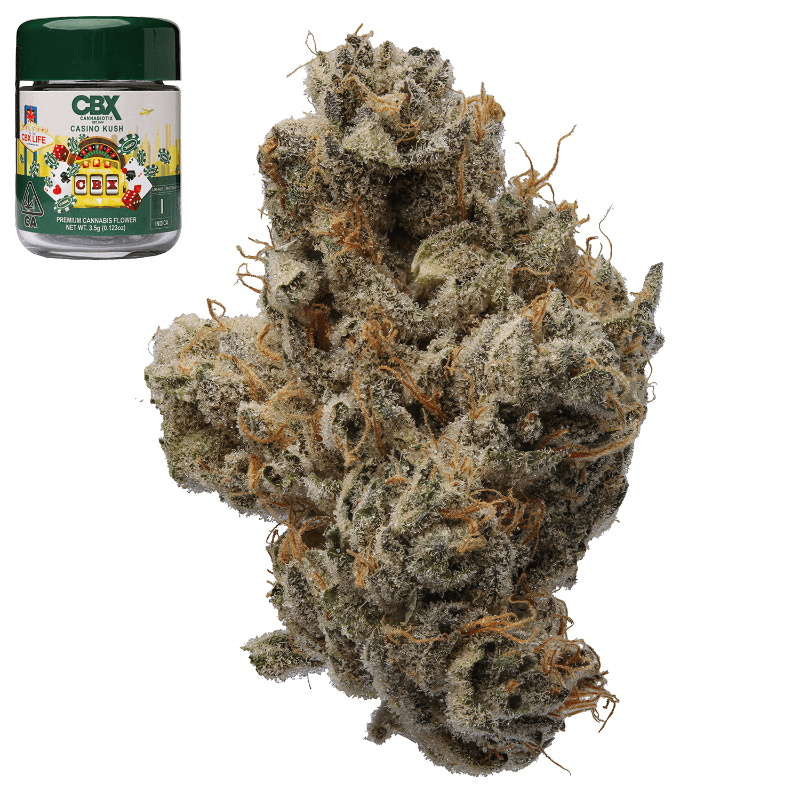 Casino Kush