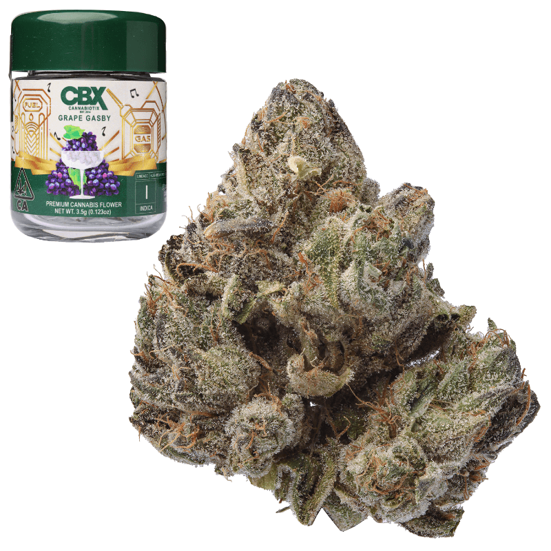 Grape Gasby OLD DNU