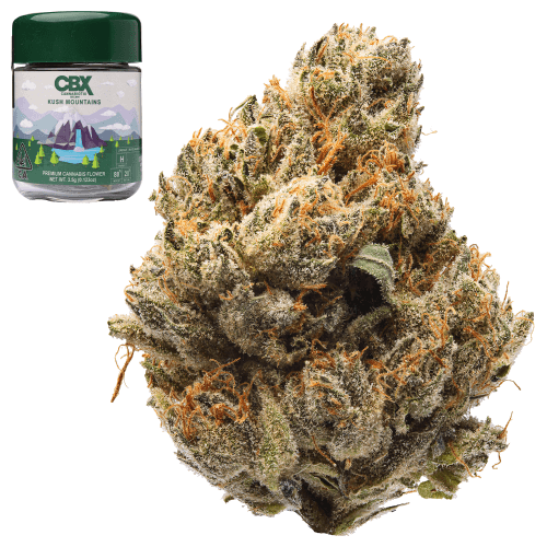 Kush Mountains