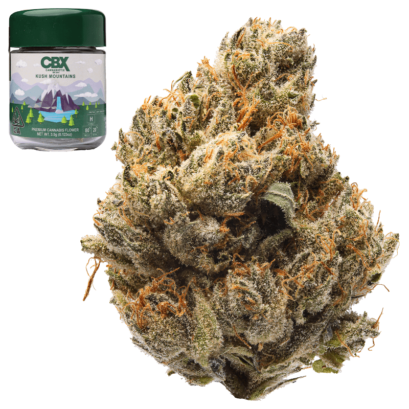 Kush Mountains