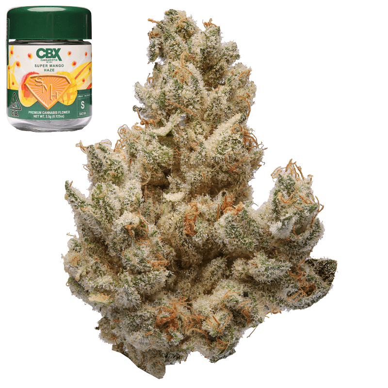 Super Mango Haze