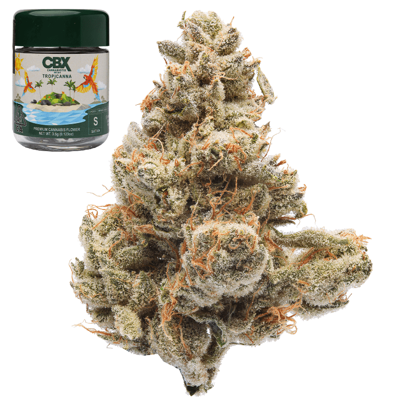 Tropicanna