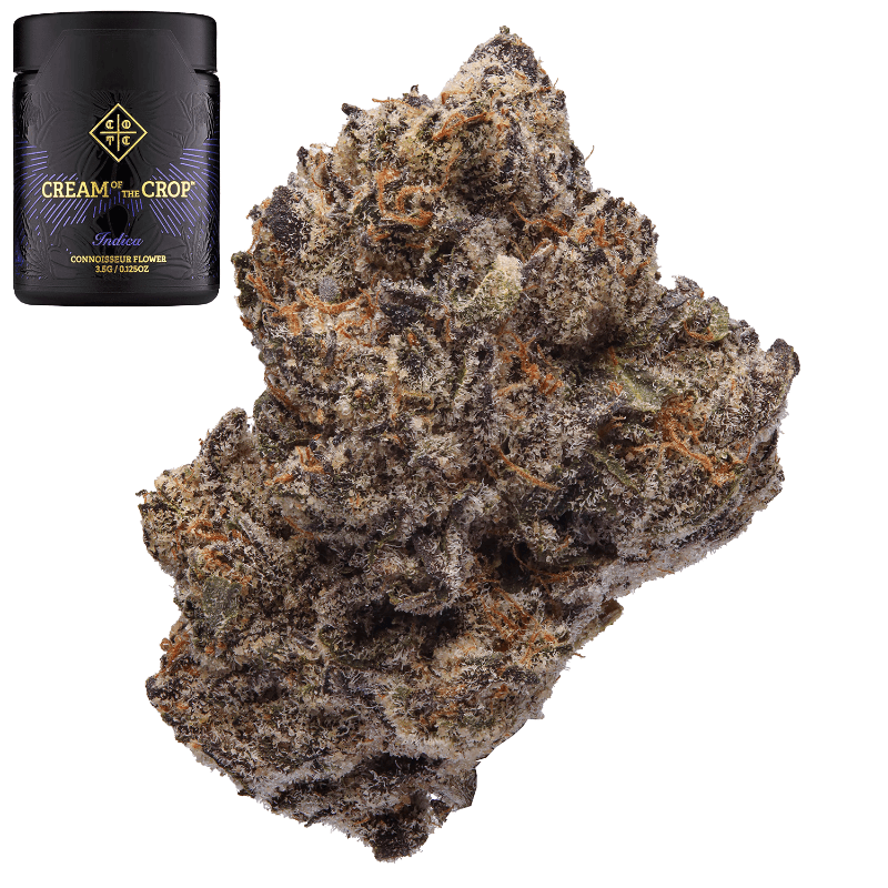 Bubblegum Gelato
