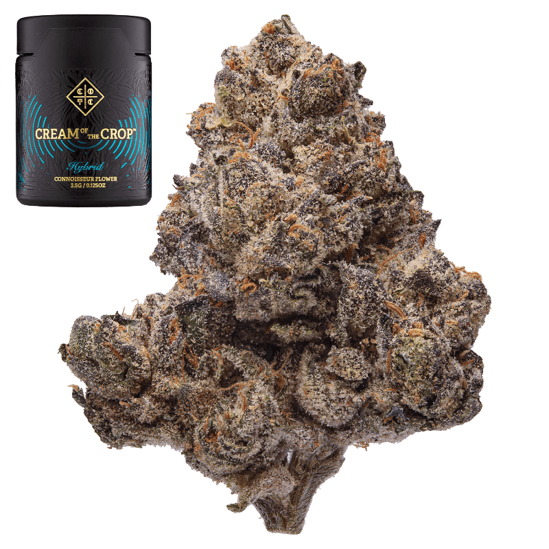 Gelato Breath