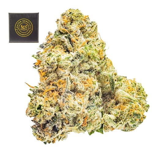Chem 51